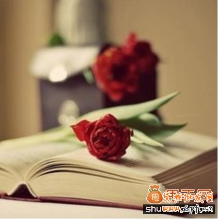 杜絕虛假宣傳中小賣(mài)家如何約束自己的行為？2