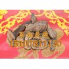 優(yōu)質原生態(tài)野生血芝，【熱銷】南寧市好用的野生血靈芝