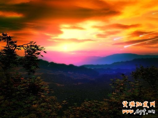淘寶