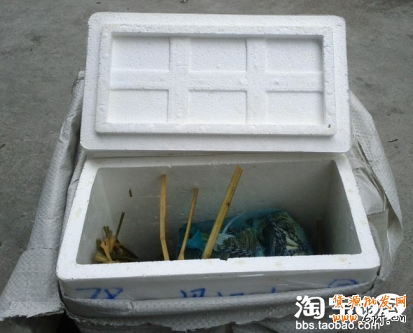 淘寶代購