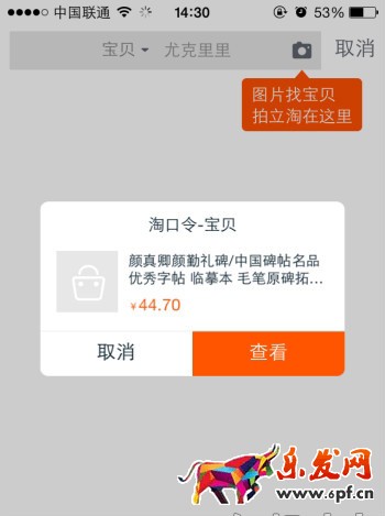 什么是淘口令，淘口令怎么用