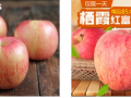 產(chǎn)品差異化