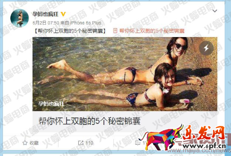 社交電商（蝙蝠）有水印6854.png
