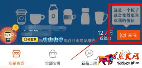 粉絲經濟模式