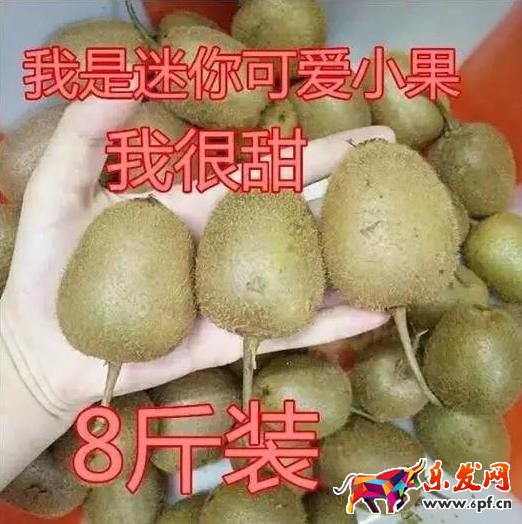 淘寶圖片