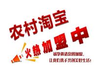農(nóng)村淘寶加盟要多少錢?要怎樣加入？