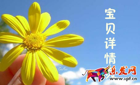 寶貝詳情頁